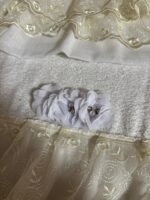 Art 1208 Coppia di asciugamani in spugna bianchi - immagine 2